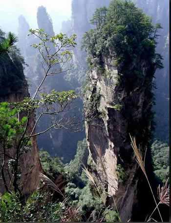 長沙出發(fā)到張家界溶洞奇觀黃龍洞、國家森林公園、袁家界、峰林之王天子山三日游（早班）