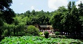 長(zhǎng)沙出發(fā)到花明樓、韶山、張家界國(guó)家森林公園、天門(mén)仙山國(guó)家森林公園四日游