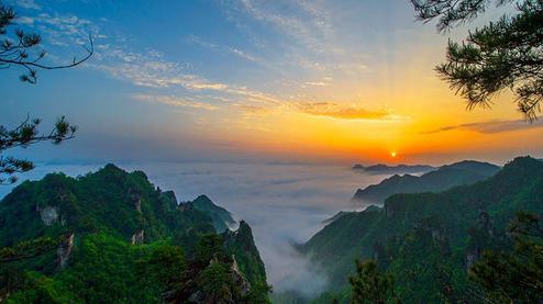 張家界森林公園（金鞭溪、袁家界、楊家界、天子山、十里畫廊）住山上2天1游（可看日出）